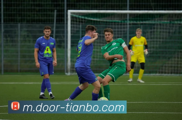 天博体育平台生态图